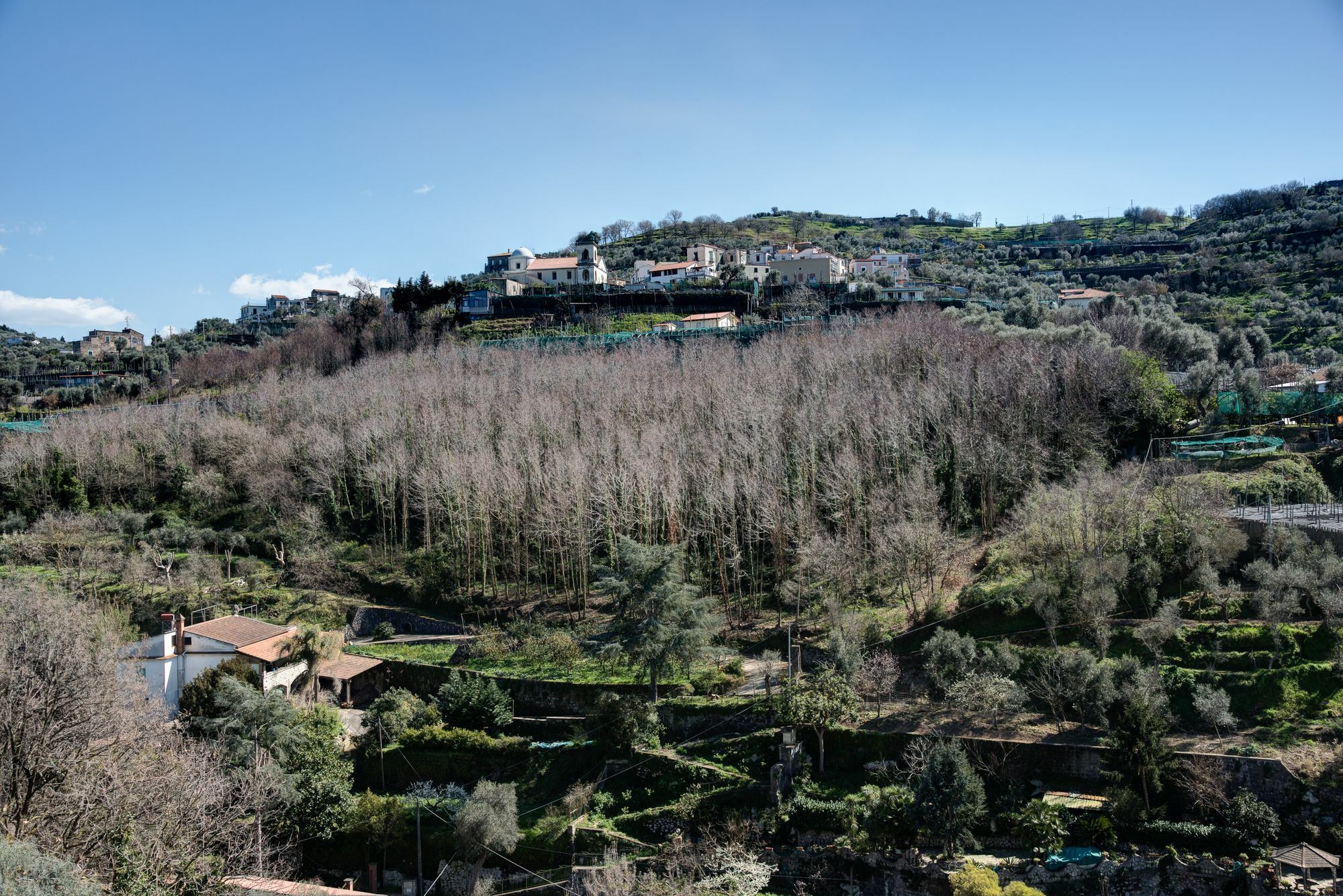 Oleum Guest House Massa Lubrense Exterior foto